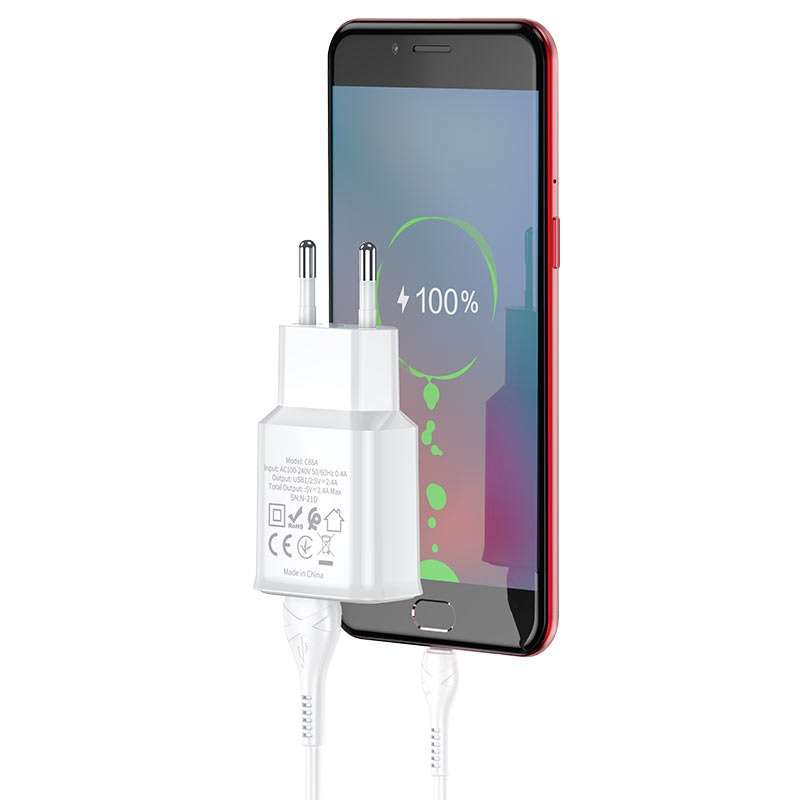 HOCO C88A Dual Port Charger Set With Micro Cable 1m