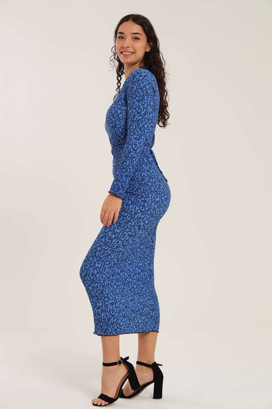 Nicolet Long Sleeve Bodycon Midaxi Evening Dress