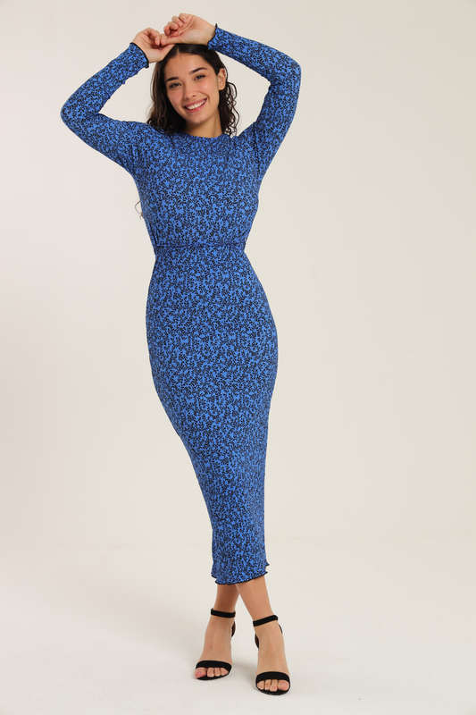 Nicolet Long Sleeve Bodycon Midaxi Evening Dress