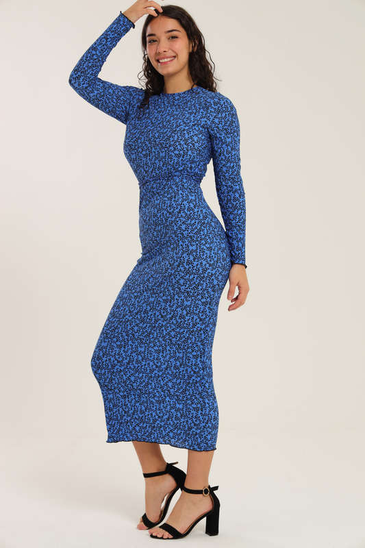 Nicolet Long Sleeve Bodycon Midaxi Evening Dress