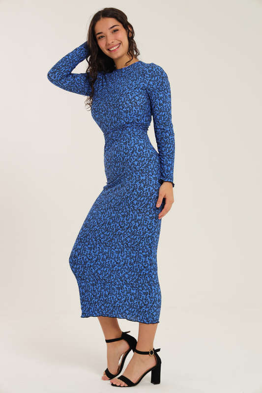 Nicolet Long Sleeve Bodycon Midaxi Evening Dress