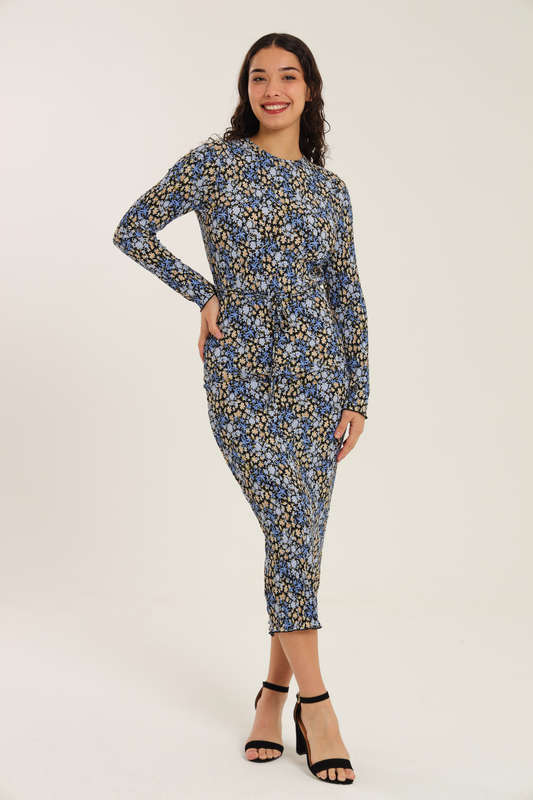Nicolet Long Sleeve Bodycon Midaxi Evening Dress