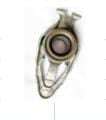 Golf 7 1.2/1.4tsi , Polo 1.2 Tsi Release Bearing 7 Speed