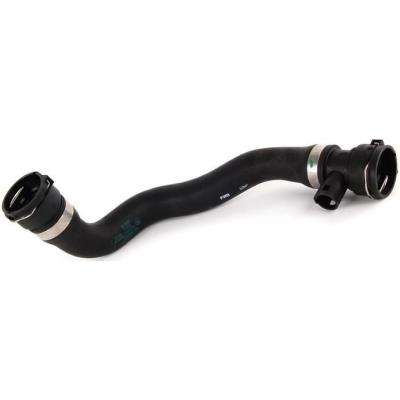 E46 Lower Radiator Hose (318i)