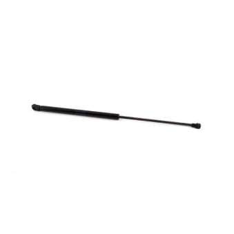 Bmw F20 Bonnet Shock/bf 30 2011-