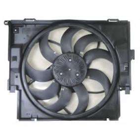 Bmw F20 Fan 1.6/2.5/2.0d 2011-