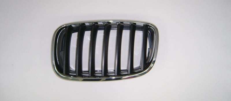 X5 Kidney Grill Rhs (e70) 2007-2010