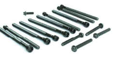 F20 / F30 Cylinder Head Bolt Kit - (n20 Engine)