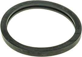 Rubrex High Quality Thermostat Seal