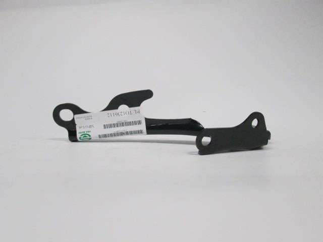 Tazz Bonnet Hinge 2000-2006 / Conquest