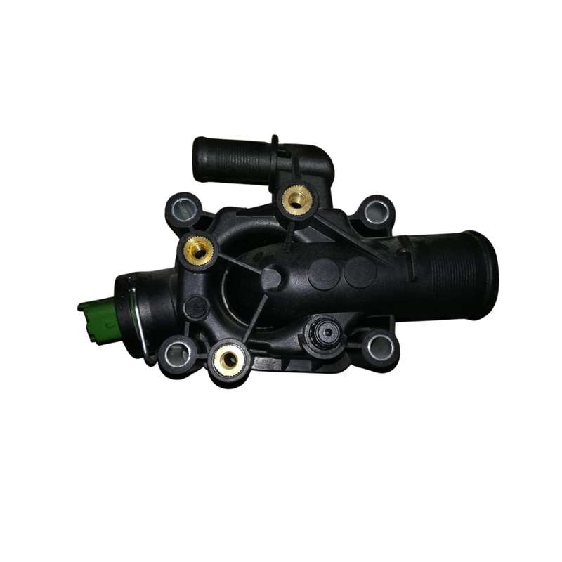 206 307 C2 C3 Thermo Housing