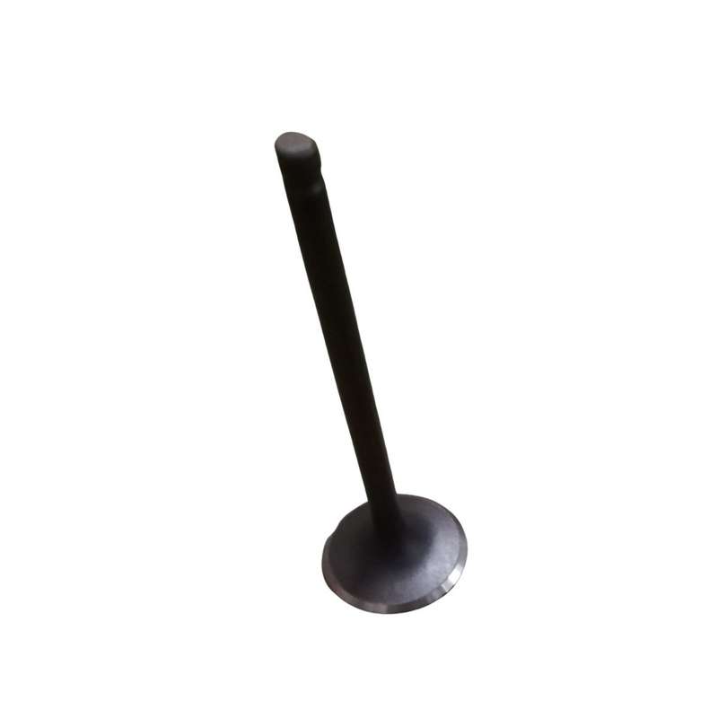 H100 Exhaust Valves 2.6 D4bb Engine   Each