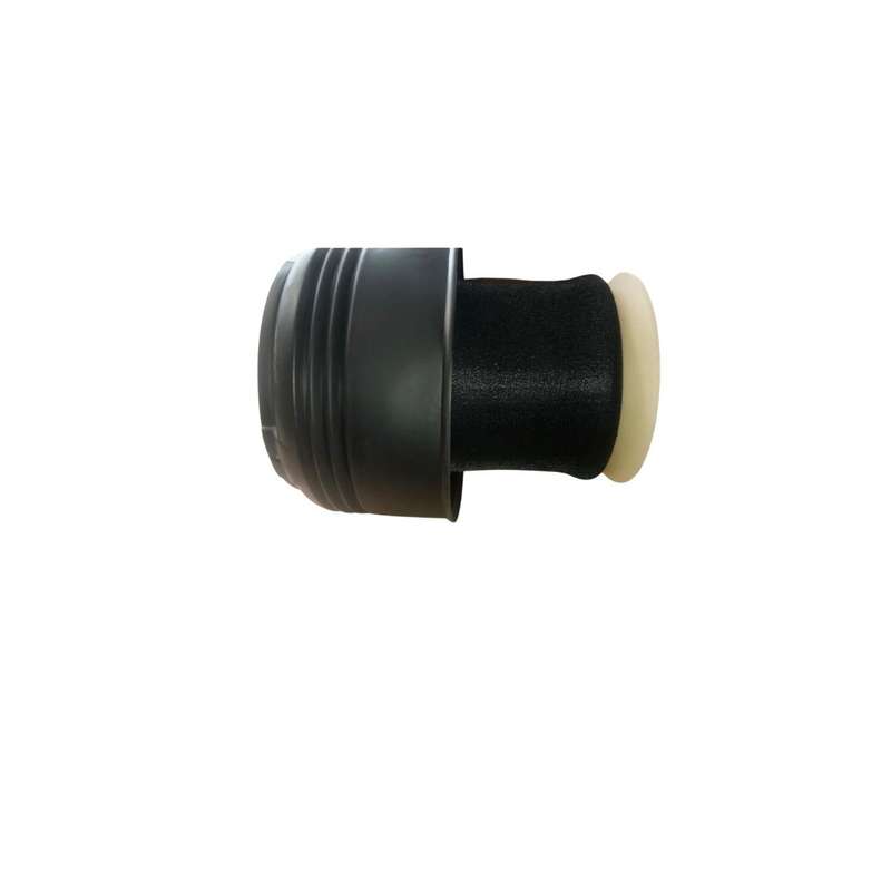 E70 X5/e71 X6 Rear Air Suspension Spring