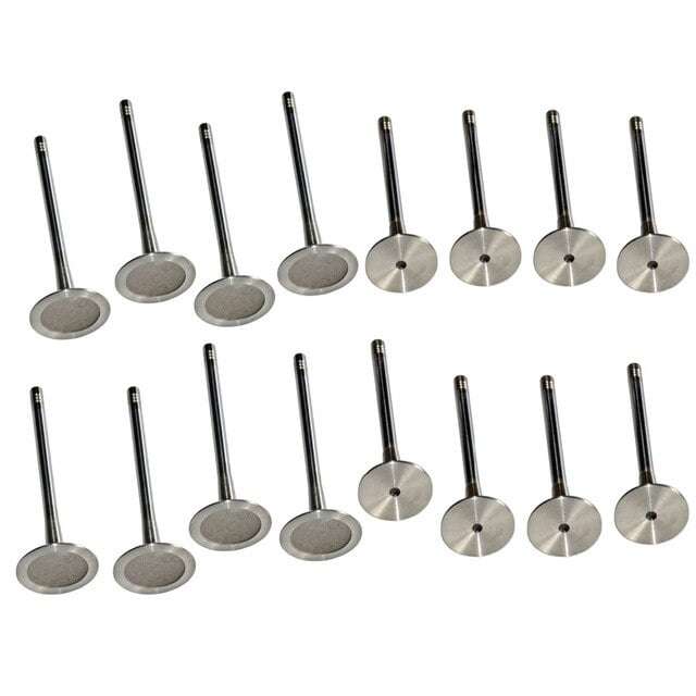 Polo Vivo 1.4/1.6/ts  Engine Intake & Exhaust Valves  Bts Bag (16 Pieces)