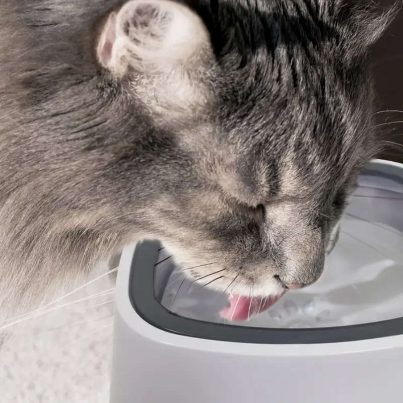 Pet Magic Bowl For Dog And Cat Anti Splash Feeding Drinking Basin Water Fountain No Slip Slow Drinki