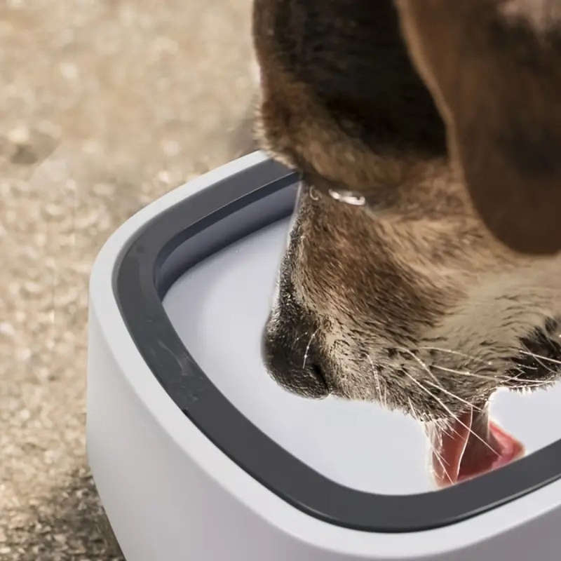 Pet Magic Bowl For Dog And Cat Anti Splash Feeding Drinking Basin Water Fountain No Slip Slow Drinki