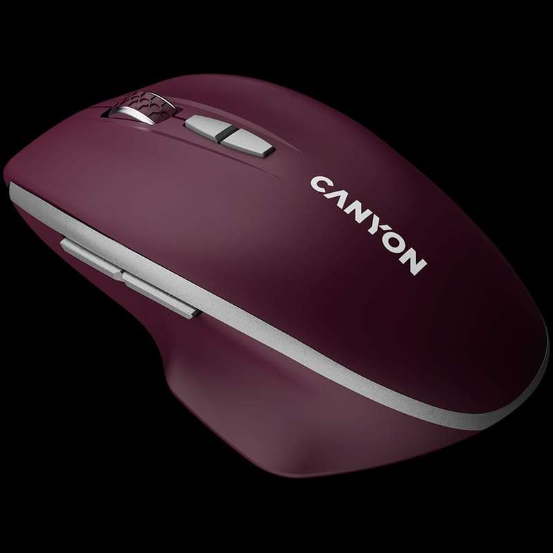 CANYON  Input Devices - Mouse Box CNS-CMSW21BR