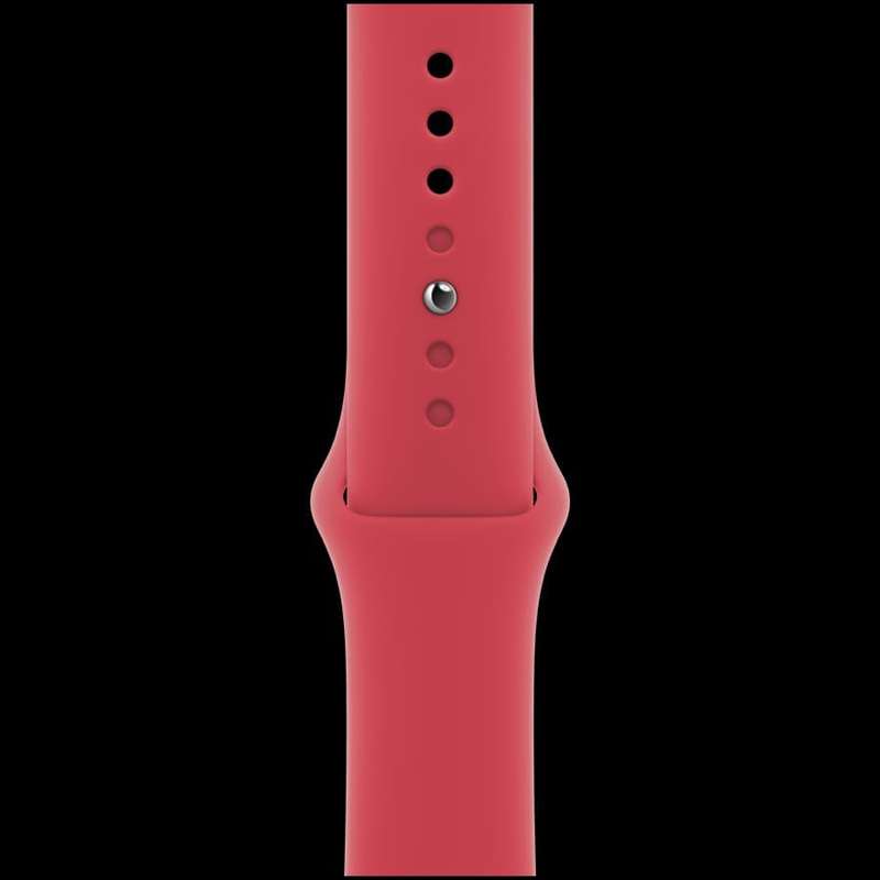 APPLE  Apple Watch Accessories MT313ZM/A