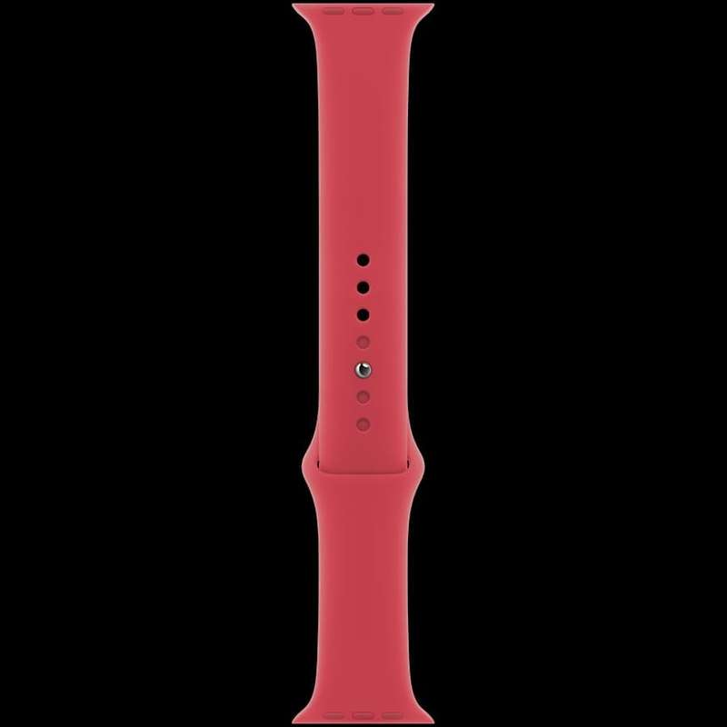 APPLE  Apple Watch Accessories MT313ZM/A