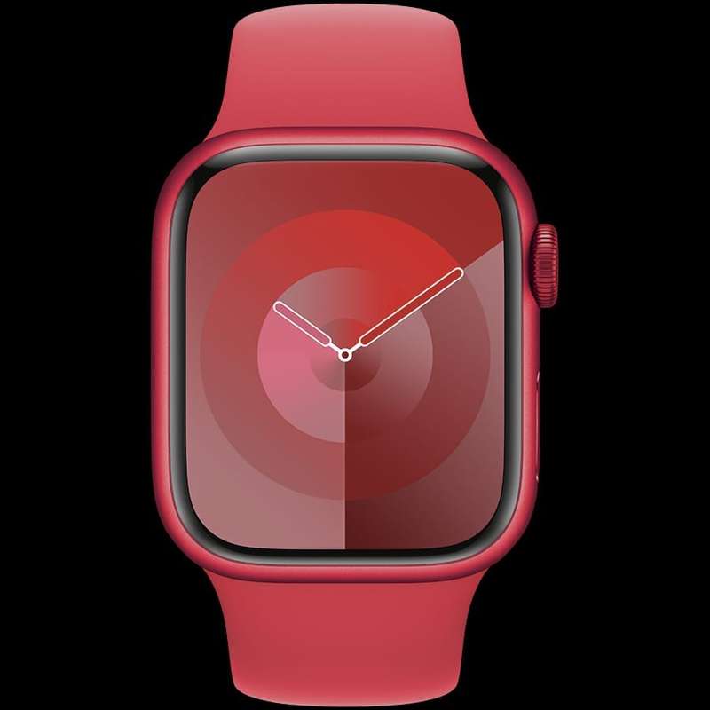 APPLE  Apple Watch Accessories MT313ZM/A