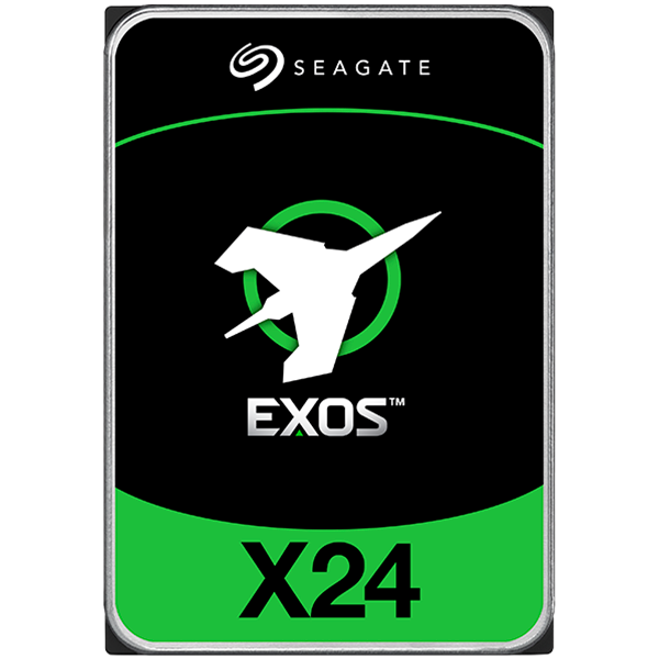 SEAGATE  HDD Server ST24000NM002H