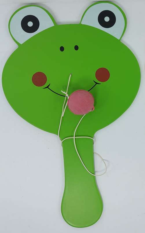 Ping Pong ball and bat set