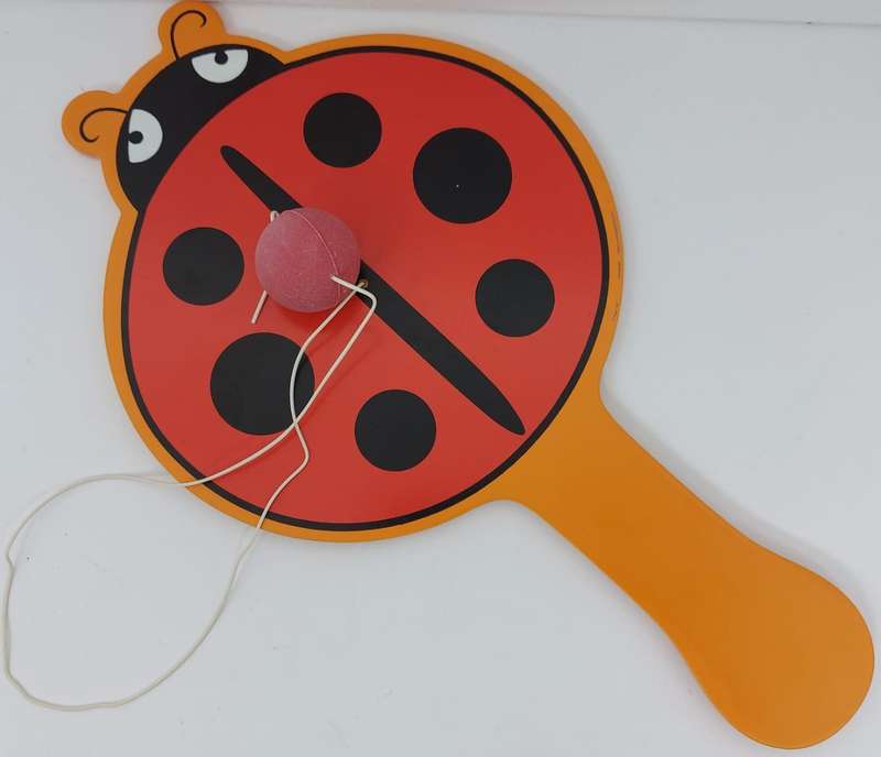 Ping Pong ball and bat set