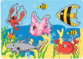 Wooden Magnetic Little fishing learning board