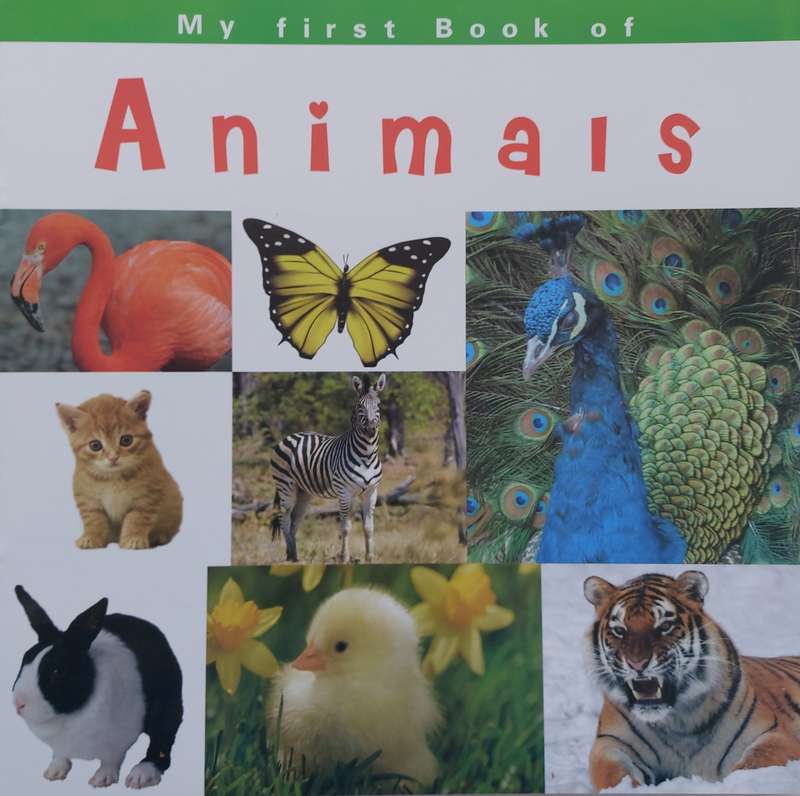 Animals book -Large
