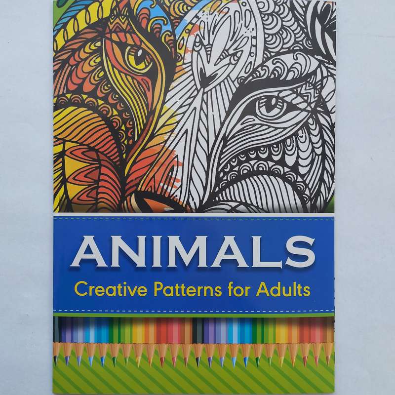 Art and Craft Combo 004
