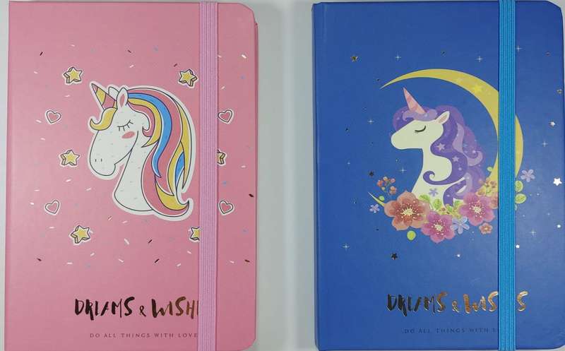 Dreams & wishes notebook