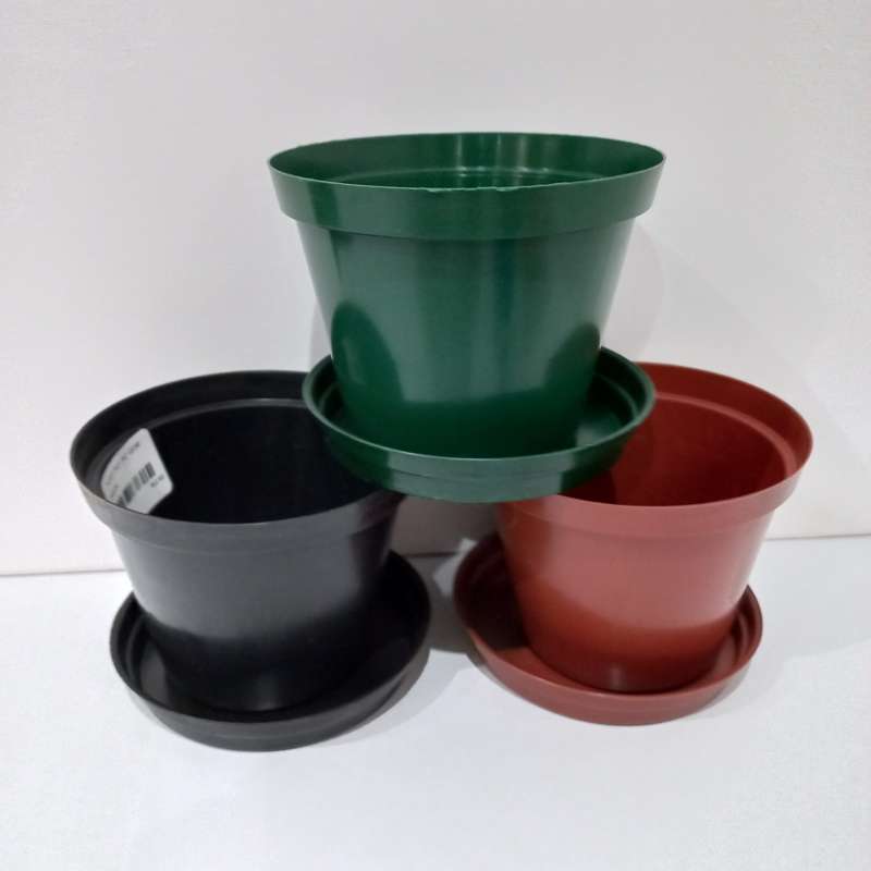 Spring Seedling Planting Pack