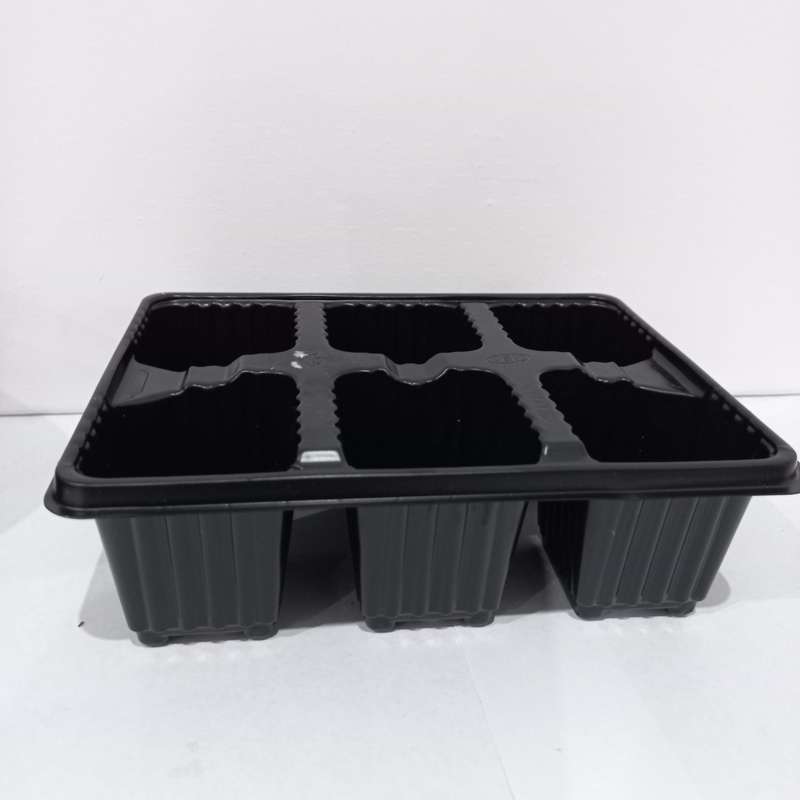 Spring Seedling Planting Pack