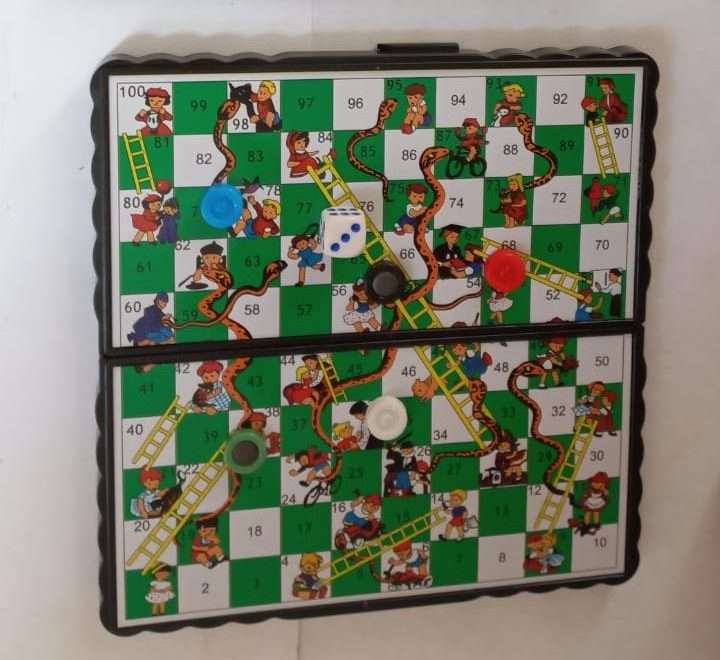 Travel Magnetic Snakes & Ladder set (small)