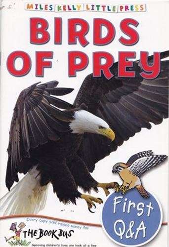 First Q & A - Birds of Prey