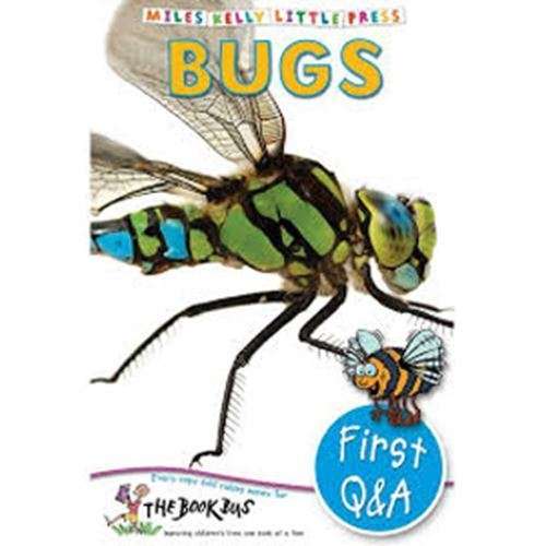 First Q&A - Bugs