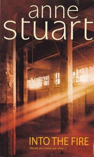 Into the Fire - Anne Stuart