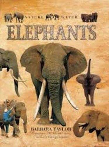 Nature Watch - Elephants