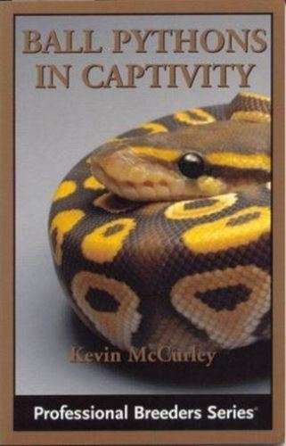 Ball Pythons in Captivity