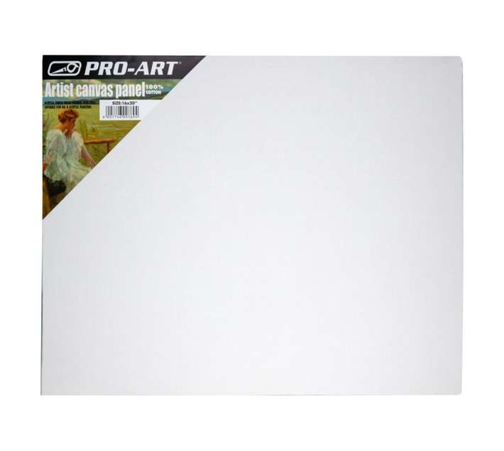 Pro Art Canvas Panel (19 x 406 x 508mm)