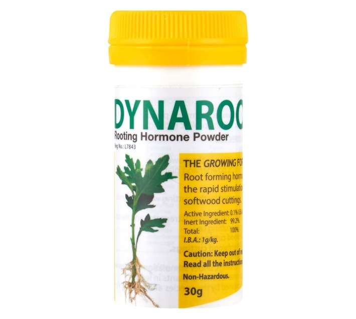 Dynaroot No 1 Rooting Hormone Powder (30g)