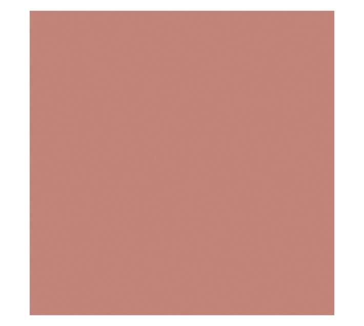 Parrot Products Hob Splashback - Rose Gold (898 x 6 x 700mm)