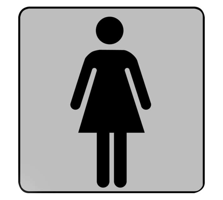 Tower Ladies Toilet Sign - Grey/Black (150 x 0.1 x 150mm)