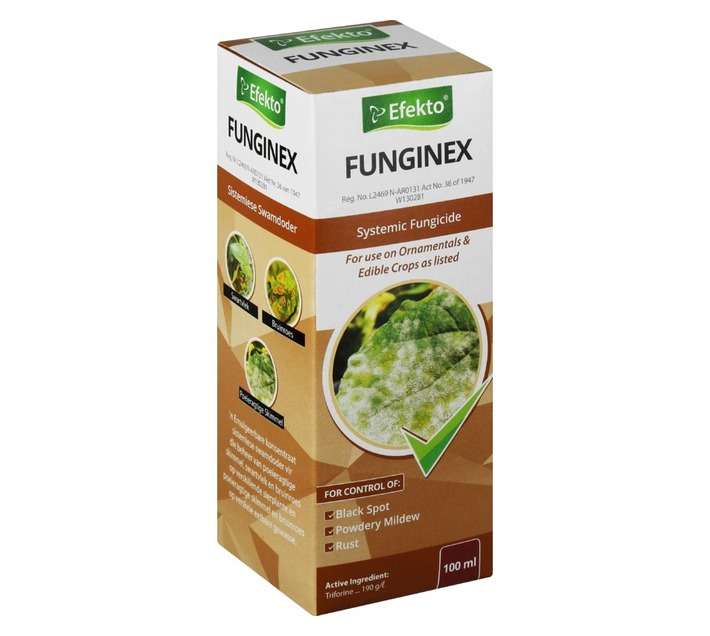 Efekto Funginex (100ml)