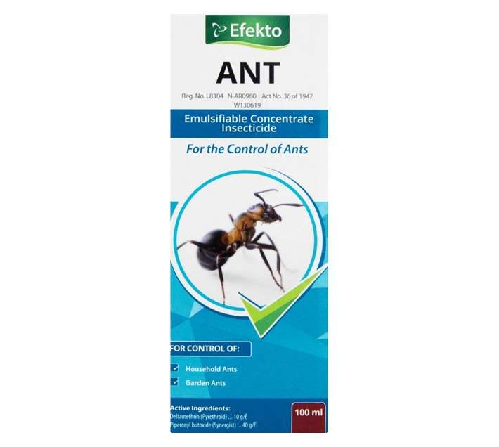 Efekto Ant (100ml)
