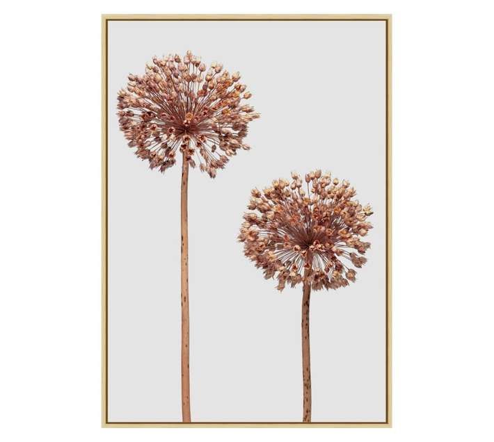 Design House Wild Flowers Framed Canvas Print - Pink (650 x 450mm)