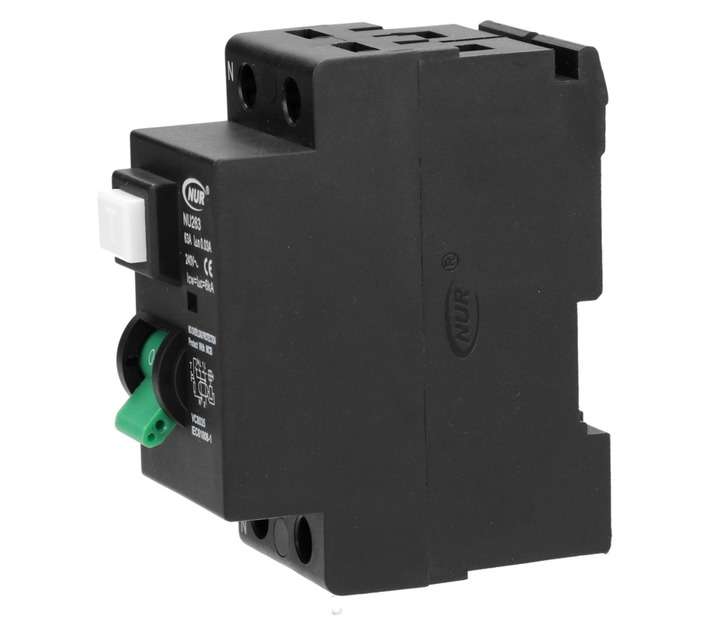 NUR Double Pole 63a Mini Earth Leakage