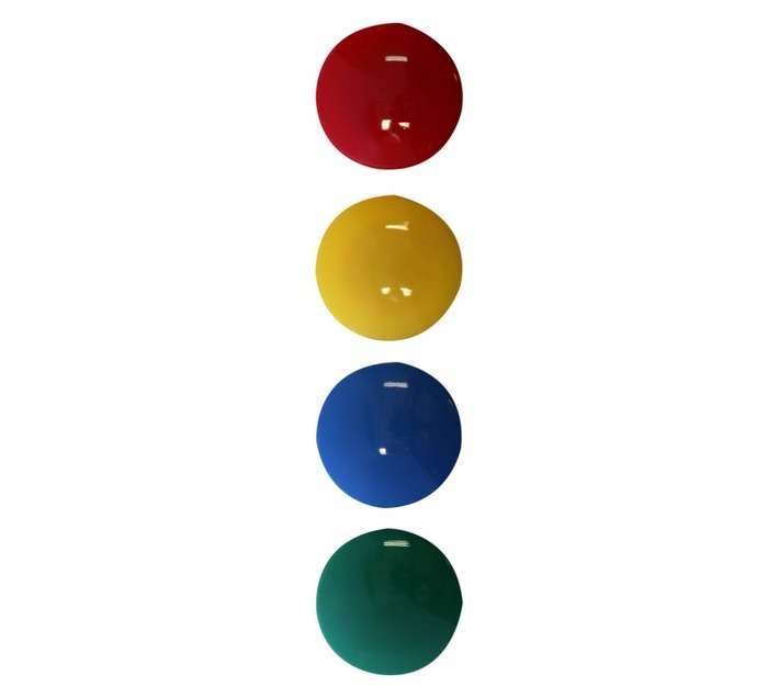 Parrot Products BA0612 4 x Circular Magnets - Assorted (40mm)