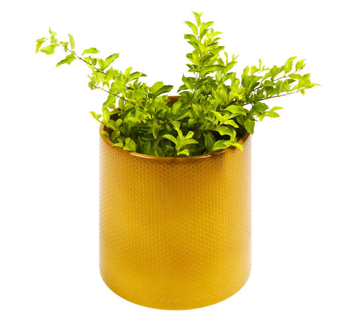 First Dutch Brands Era Ceramic Pot - Ochre (215 x 230mm)