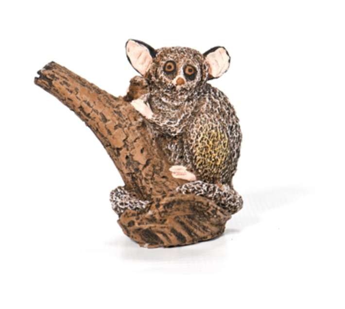 Wildcrete Small Bush Baby